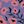 Pink Flora