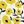 Yellow Floral