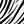 Zebra Black