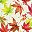 Red Maple Leaf