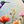 Floral Bird Art