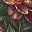 Red Peony Floral
