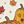 Cute Pumpkin