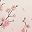 Peach Blossom