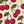 Red Cherry Print