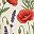 Red Poppy Meadow