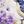Blue Bird Purple