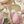 Pink Rose Beige