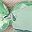 Green Khaki Band