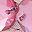 Pink Black Band