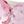 Pink White Band