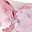Pink White Band
