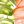 Orange Green