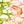 Yellow Green