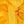 Dark Yellow