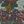 Blue Floral Pattern