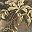 Green Brown Foliage
