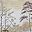 Muted Forest Scene