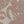 Dusty Rose Floral