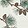 Pine Branch Cream