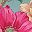 Teal Pink Floral