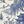 Blue White Toile