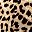 Brown Leopard
