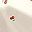 Beige Cherry
