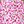 Pink Flower