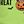 Key Lime