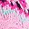 Pinkish Violet
