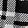 Black White