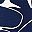 White Navy