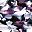 Purple Floral