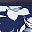 Navy Blue White