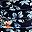 Navy Blue Black