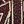 Gold Winered