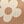 Beige Brown