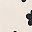 Beige Black