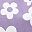 Purple White