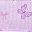 Pink Purple