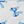 Blue White