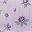 Purple Pink Rose