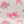 Beige Pink Rose