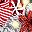 Red White