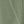 Lion King Olive Green