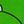 Gekko Green