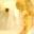 Gold Tone