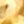 Gold Tone