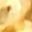 Gold Tone